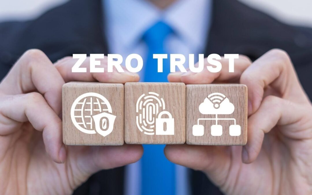 Beyond the Castle Walls: Understanding Zero Trust Networks